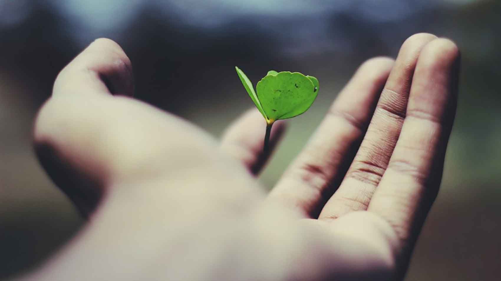 Why-Natural-and-Organic-Skincare